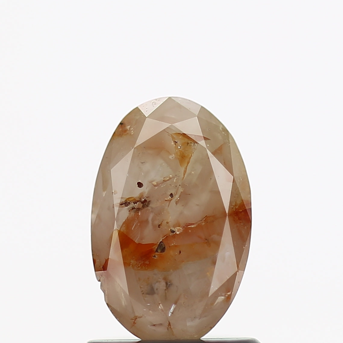 ClariOLED Transparent OLED Display price