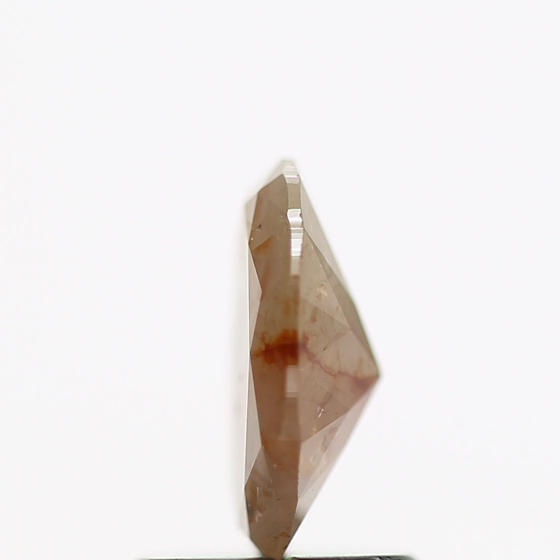 ClariOLED Transparent OLED Display price