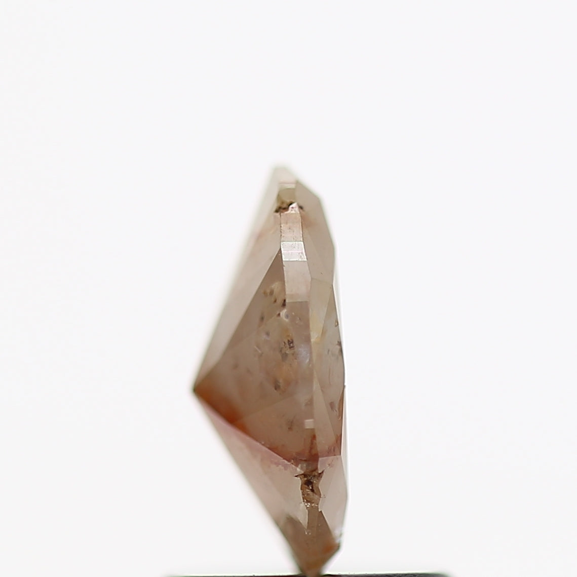 ClariOLED Transparent OLED Display price