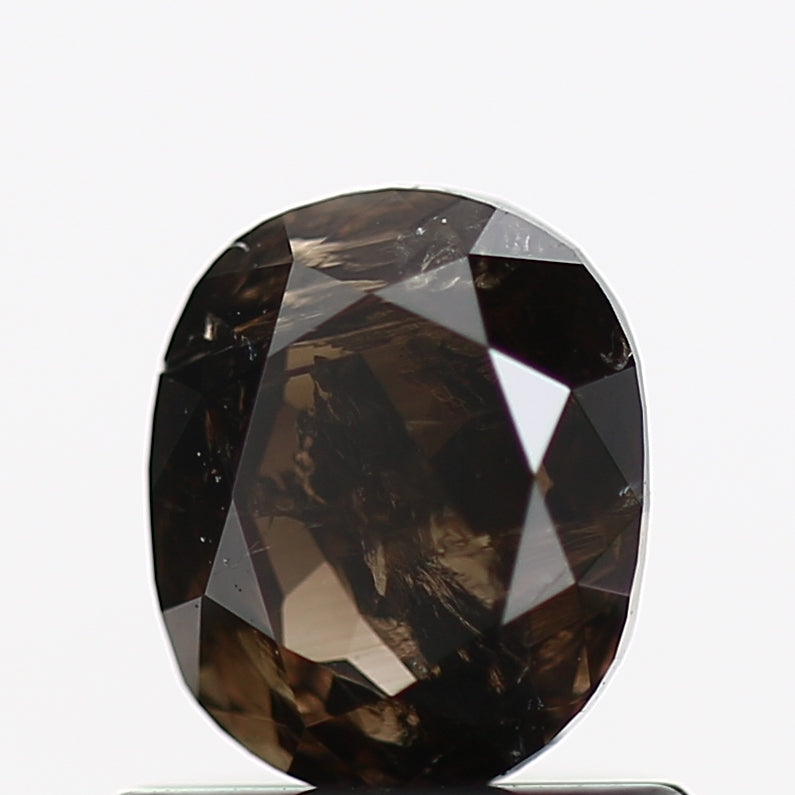 ClariOLED Transparent OLED Display price