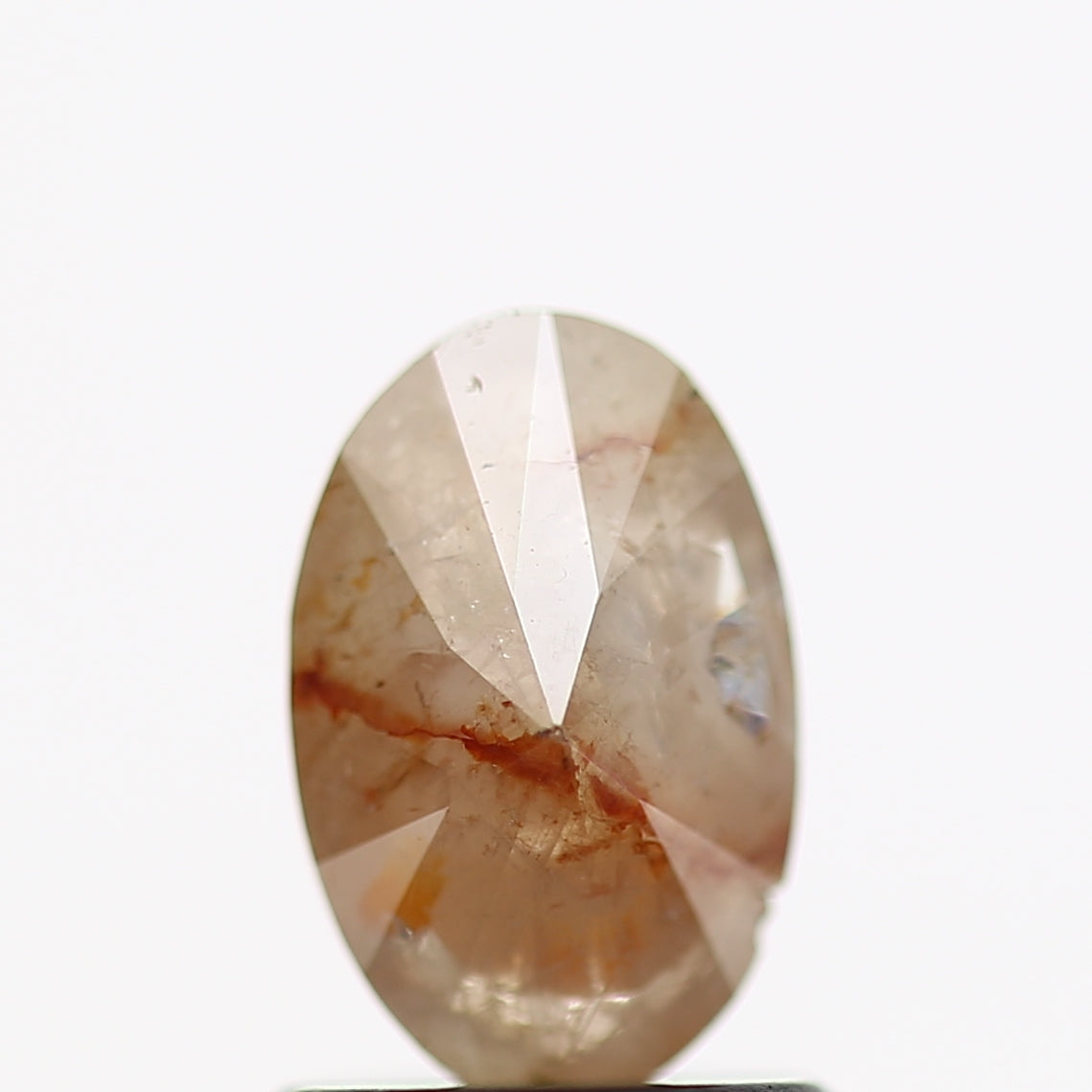 ClariOLED Transparent OLED Display price