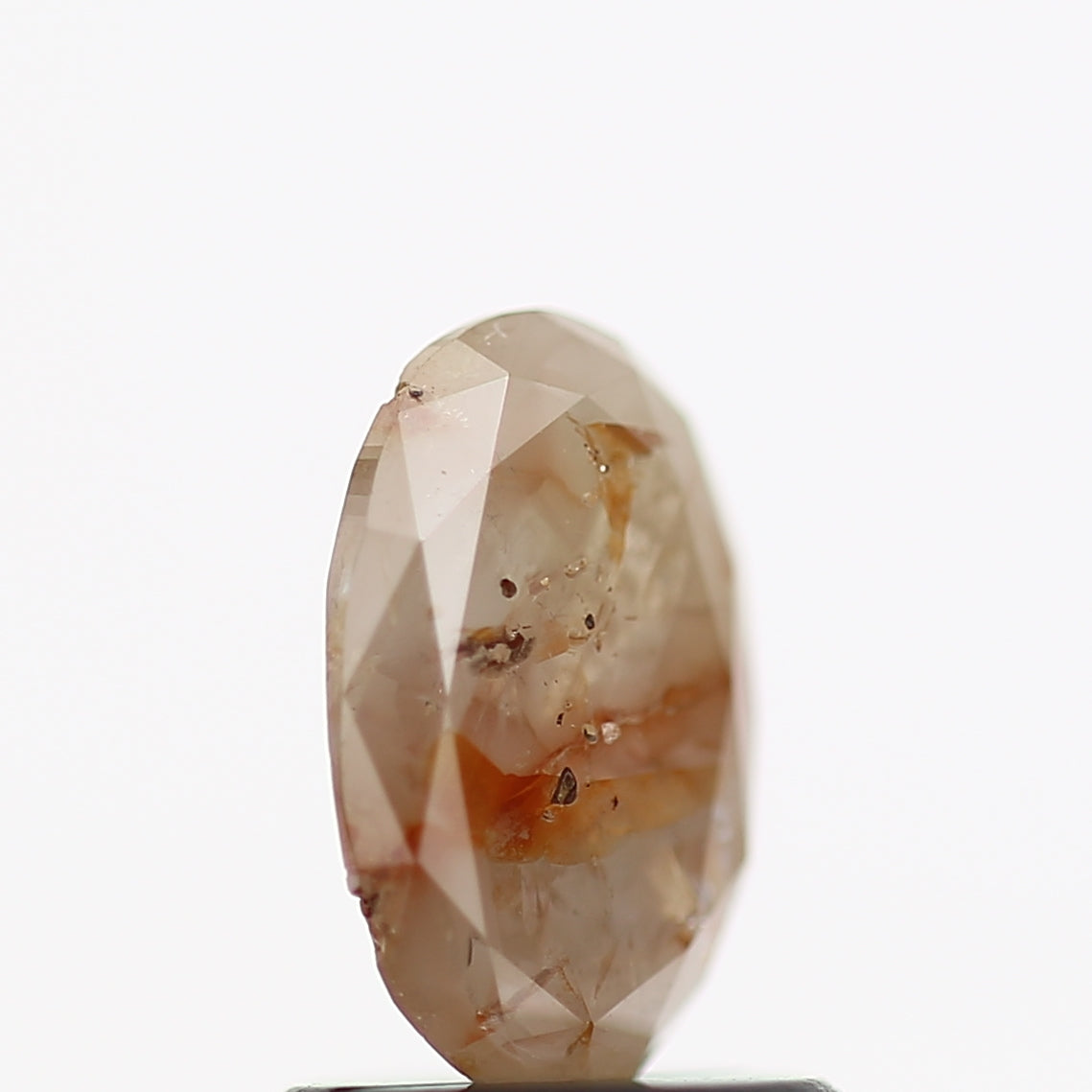 ClariOLED Transparent OLED Display price