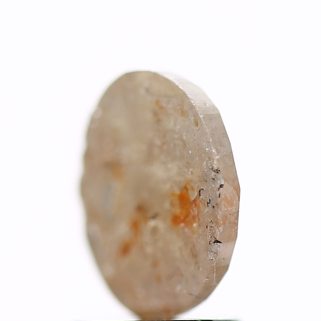 ClariOLED Transparent OLED Display price