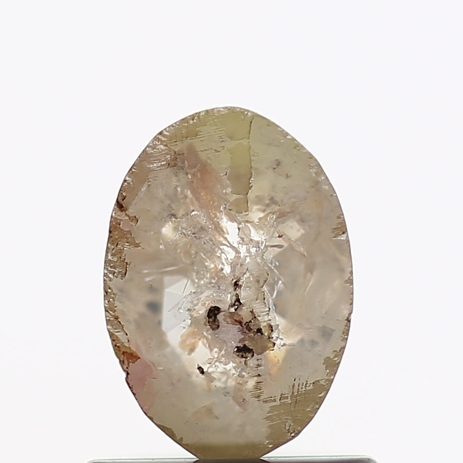 ClariOLED Transparent OLED Display price