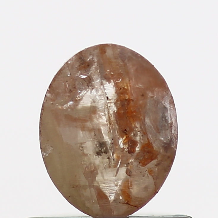 ClariOLED Transparent OLED Display price