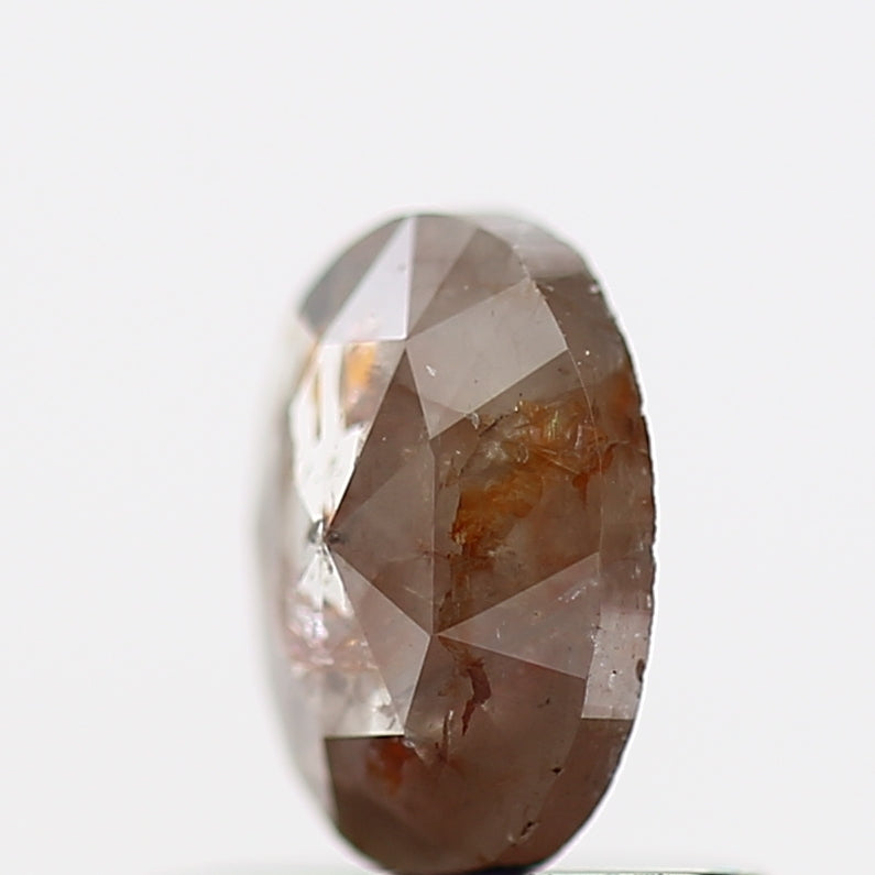 ClariOLED Transparent OLED Display price