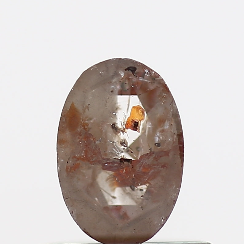 ClariOLED Transparent OLED Display price