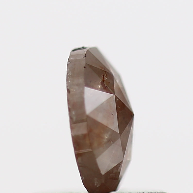 ClariOLED Transparent OLED Display price