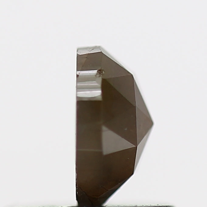 ClariOLED Transparent OLED Display price