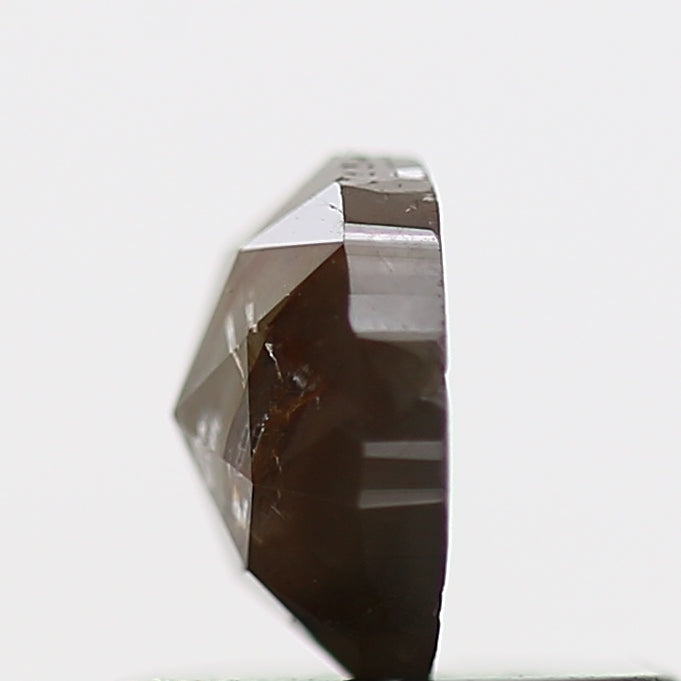 ClariOLED Transparent OLED Display price