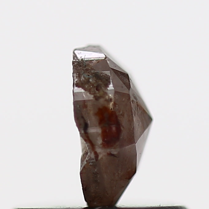 ClariOLED Transparent OLED Display price