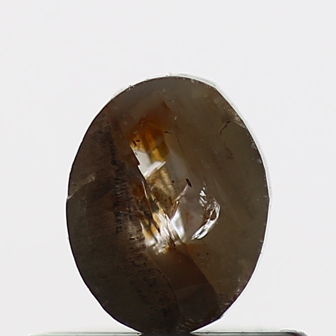 ClariOLED Transparent OLED Display price