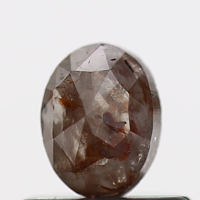 ClariOLED Transparent OLED Display price