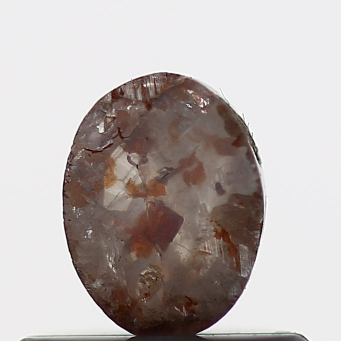 ClariOLED Transparent OLED Display price