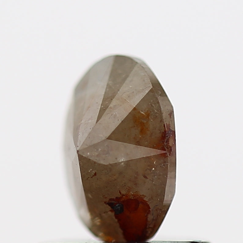 ClariOLED Transparent OLED Display price