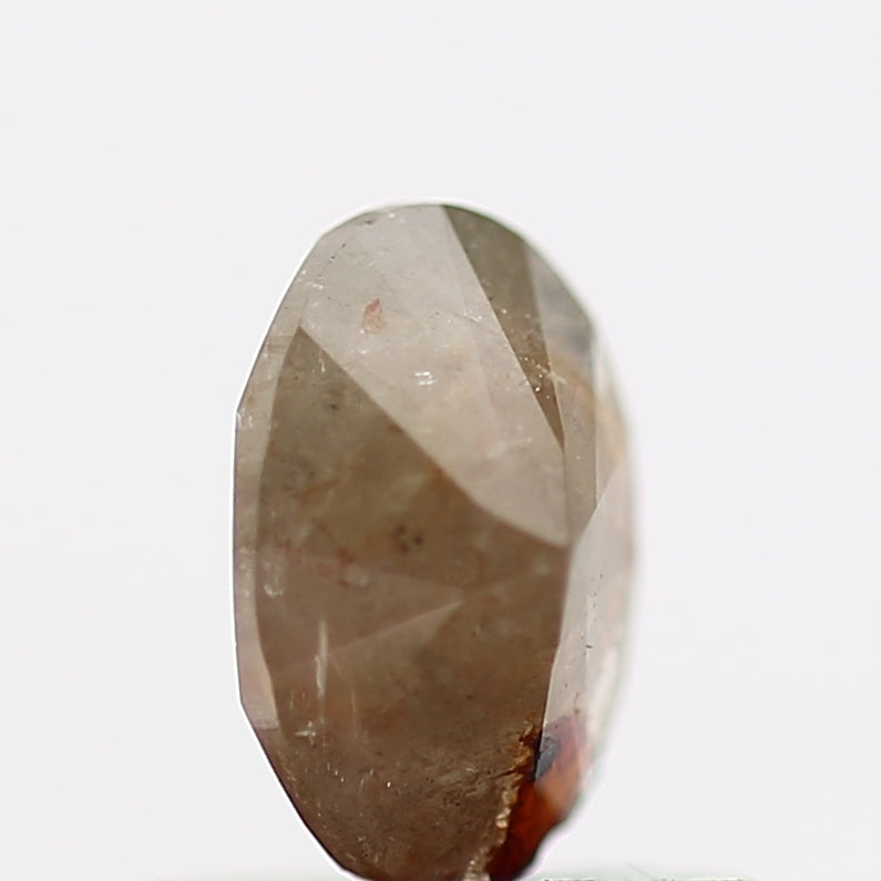 ClariOLED Transparent OLED Display price