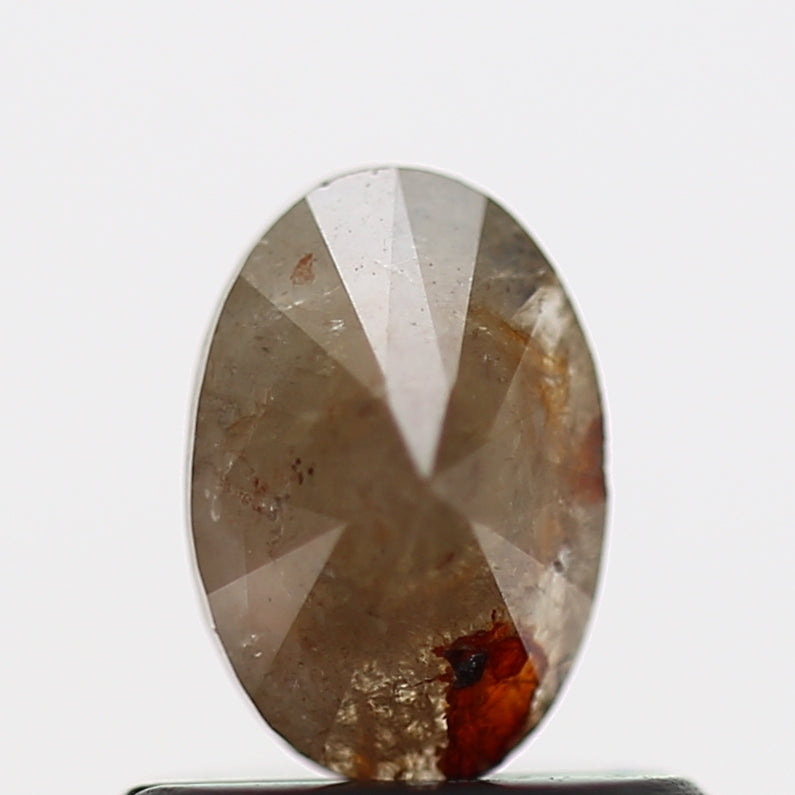 ClariOLED Transparent OLED Display price