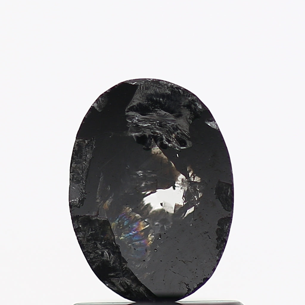 ClariOLED Transparent OLED Display price