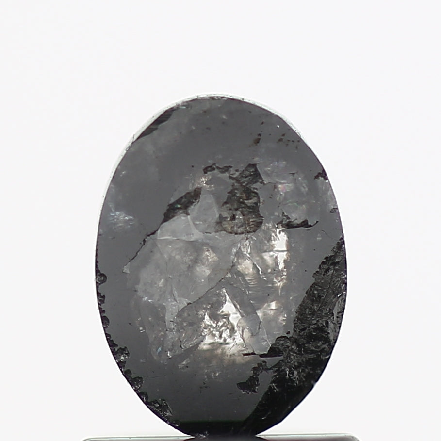 ClariOLED Transparent OLED Display price