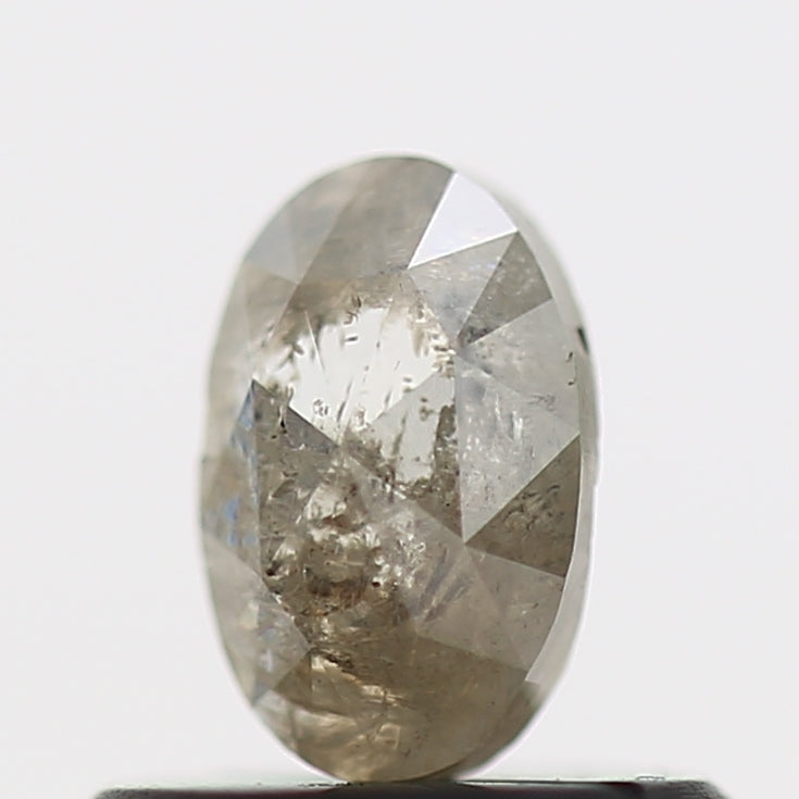 ClariOLED Transparent OLED Display price