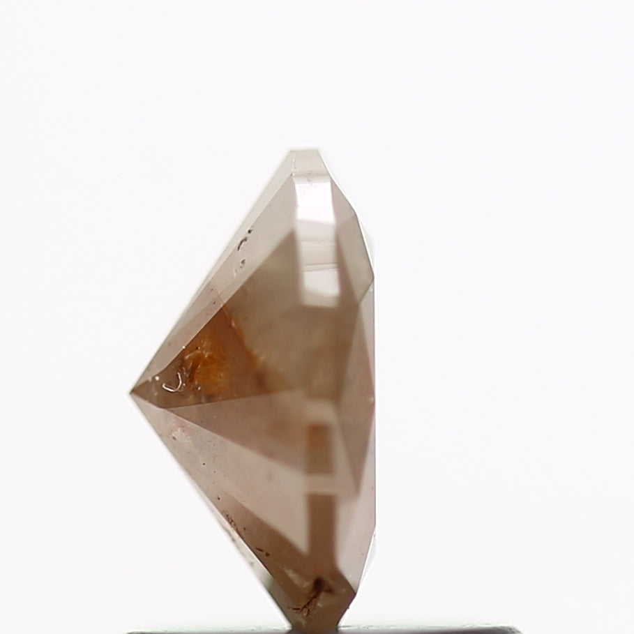 ClariOLED Transparent OLED Display price