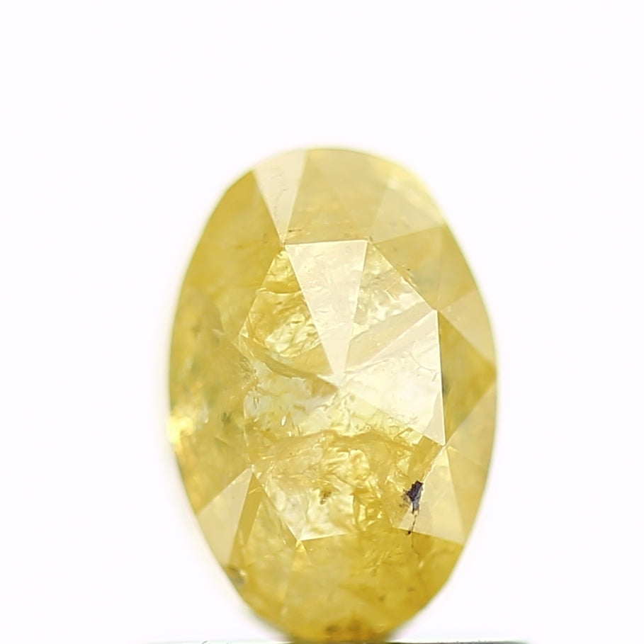 ClariOLED Transparent OLED Display price