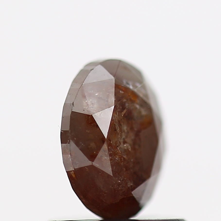 ClariOLED Transparent OLED Display price