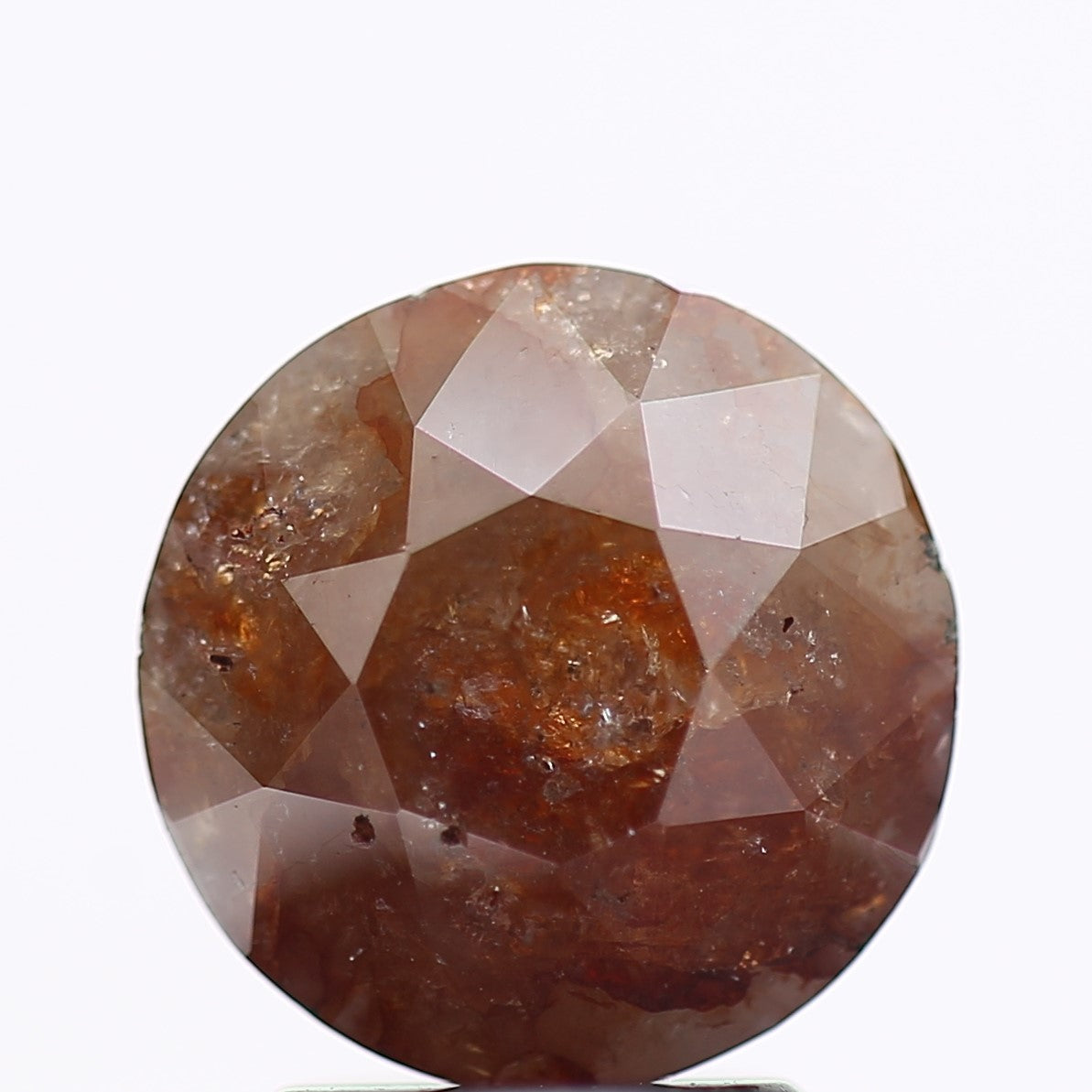 ClariOLED Transparent OLED Display price