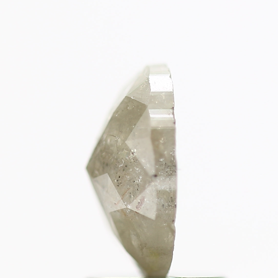 ClariOLED Transparent OLED Display price