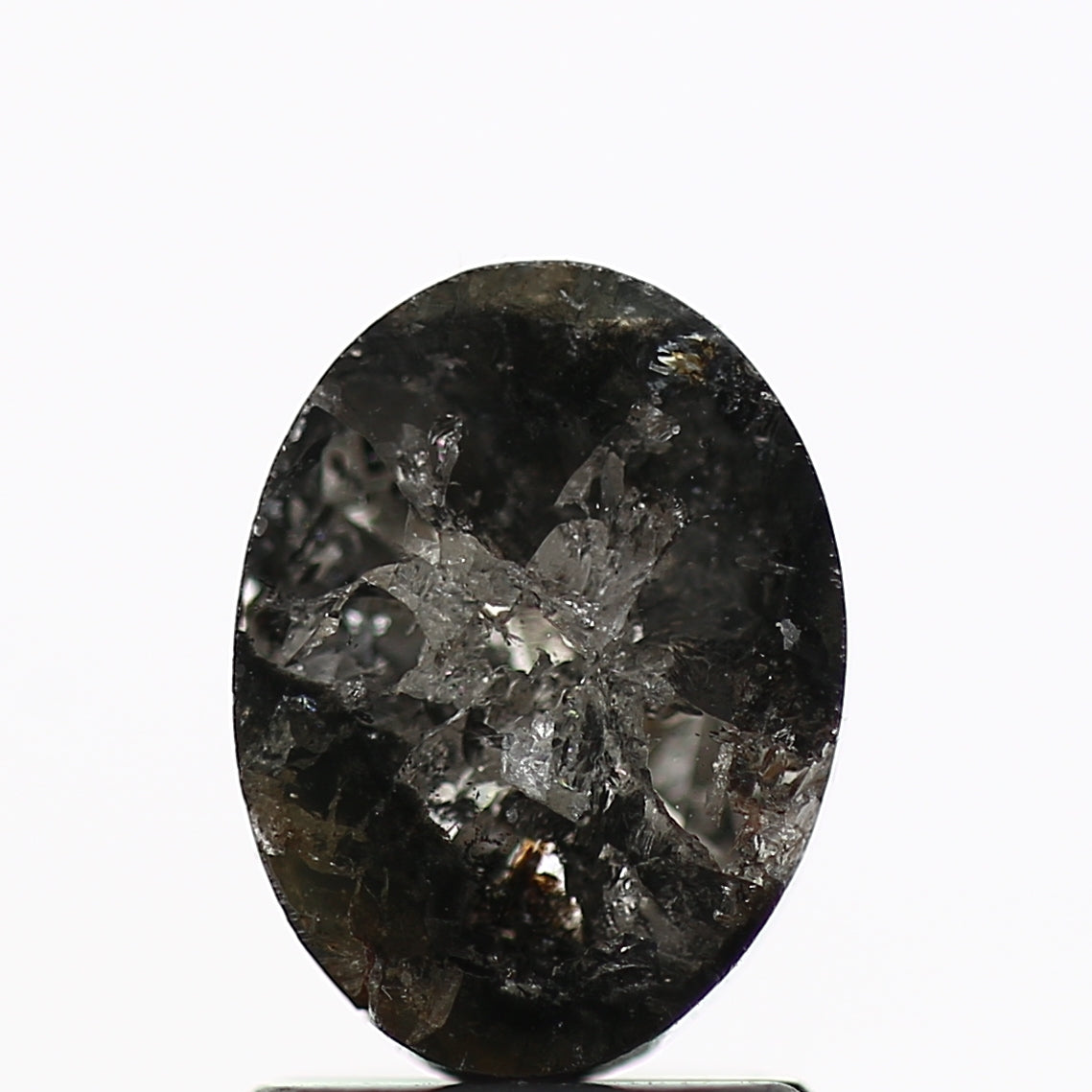 ClariOLED Transparent OLED Display price