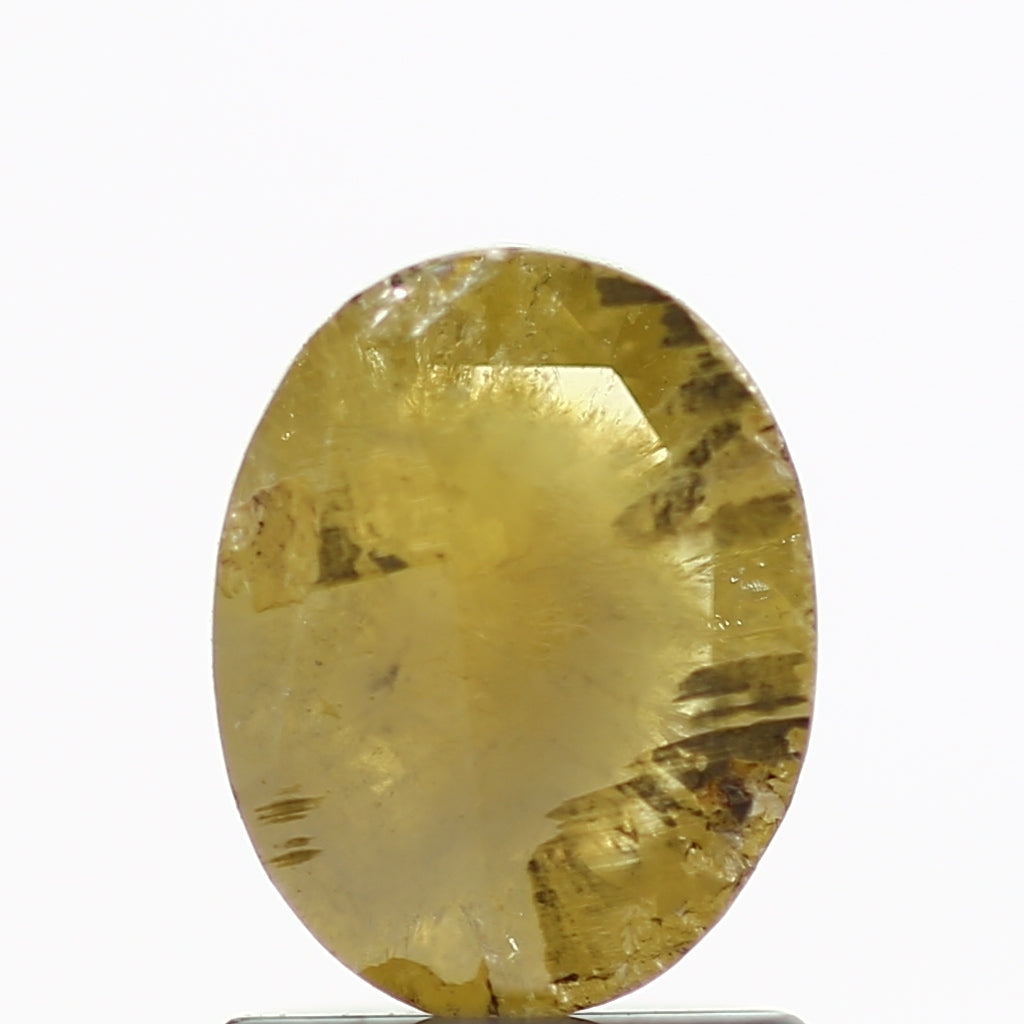 ClariOLED Transparent OLED Display price