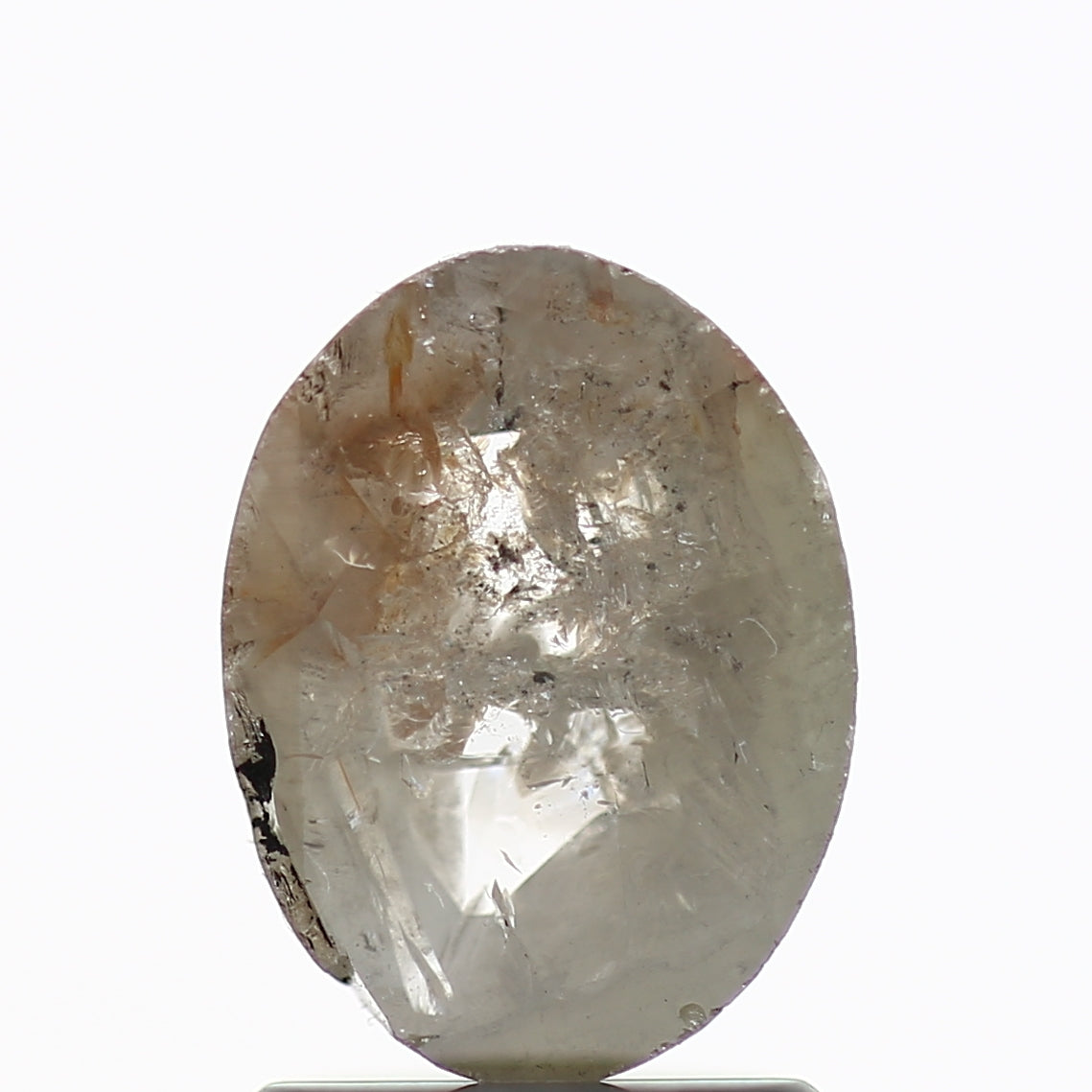 ClariOLED Transparent OLED Display price