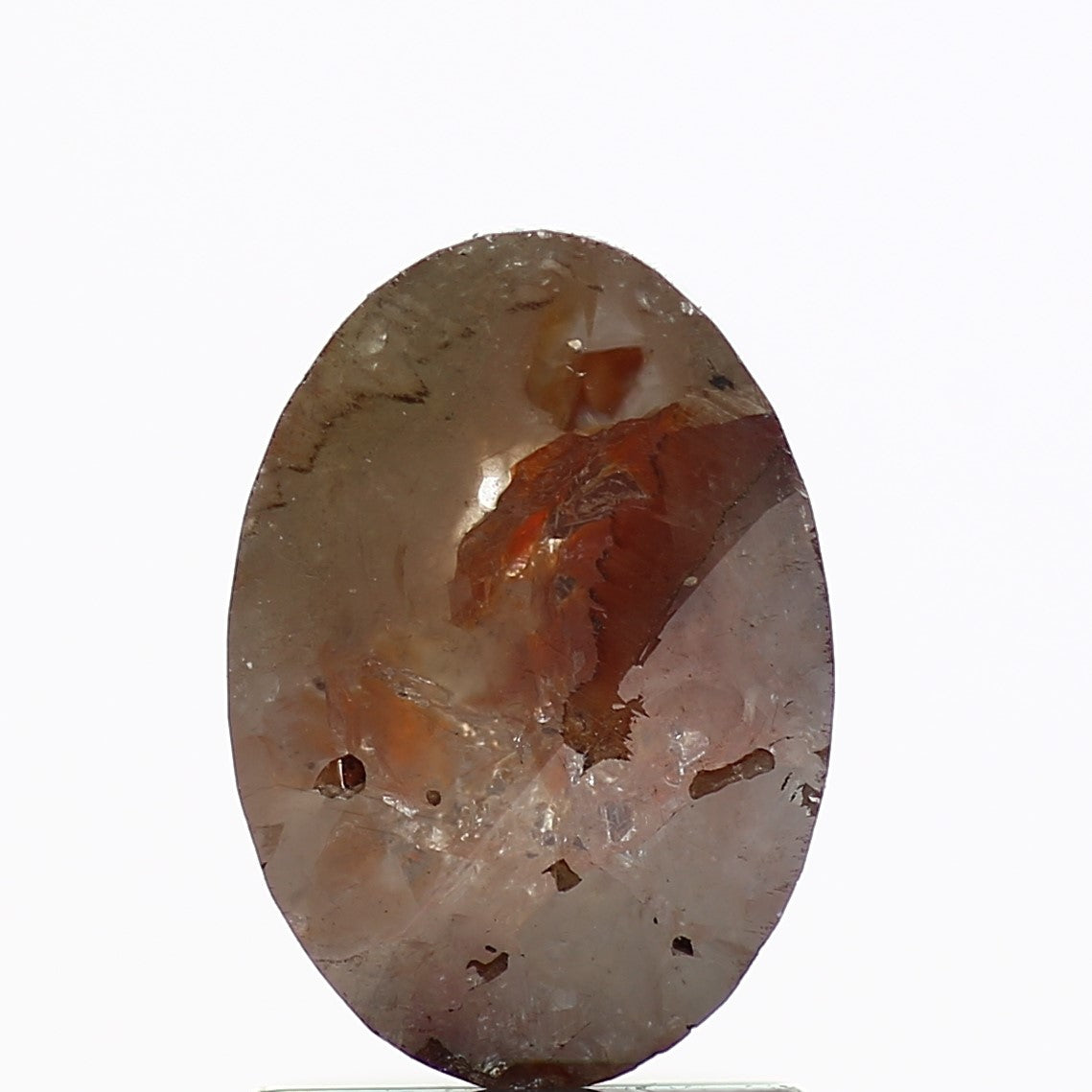 ClariOLED Transparent OLED Display price