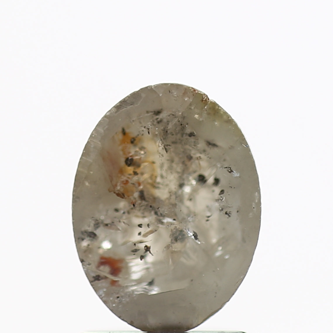 ClariOLED Transparent OLED Display price