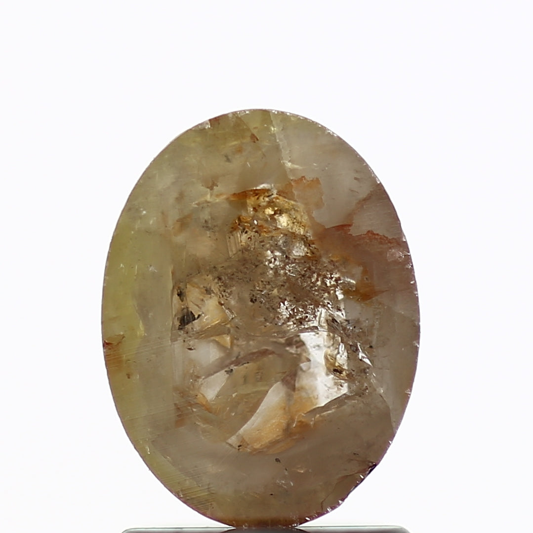 ClariOLED Transparent OLED Display price