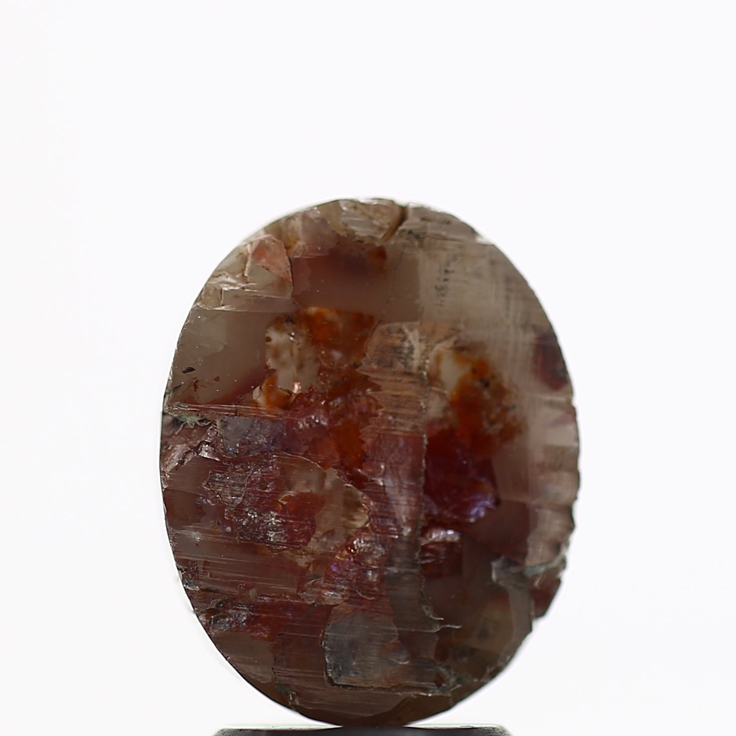 ClariOLED Transparent OLED Display price