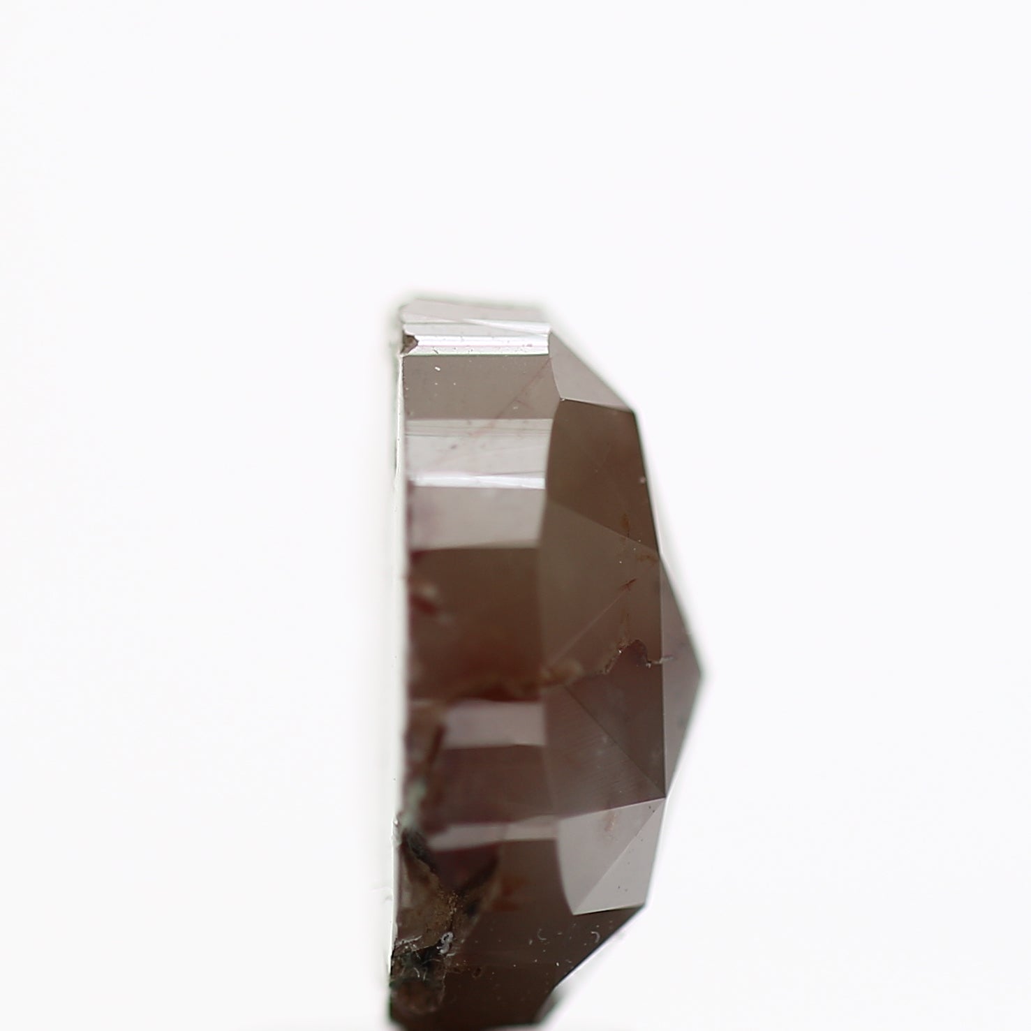 ClariOLED Transparent OLED Display price