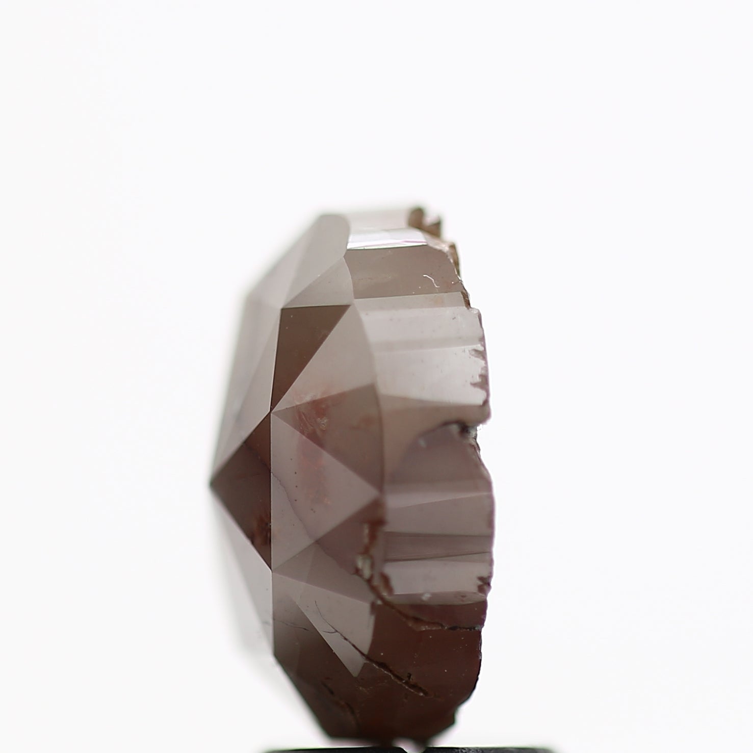 ClariOLED Transparent OLED Display price