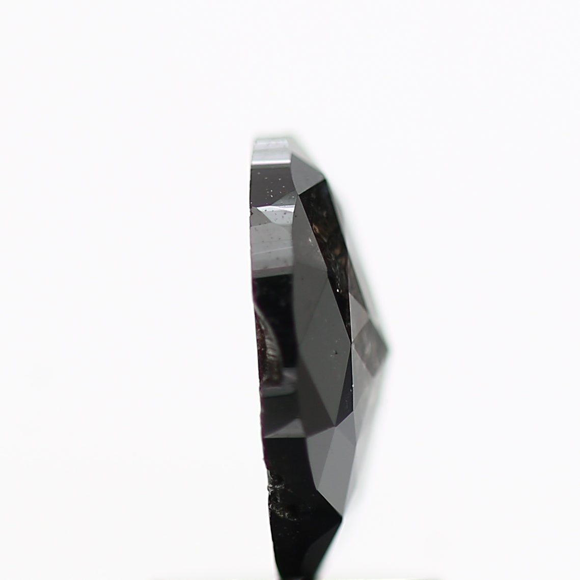 ClariOLED Transparent OLED Display price