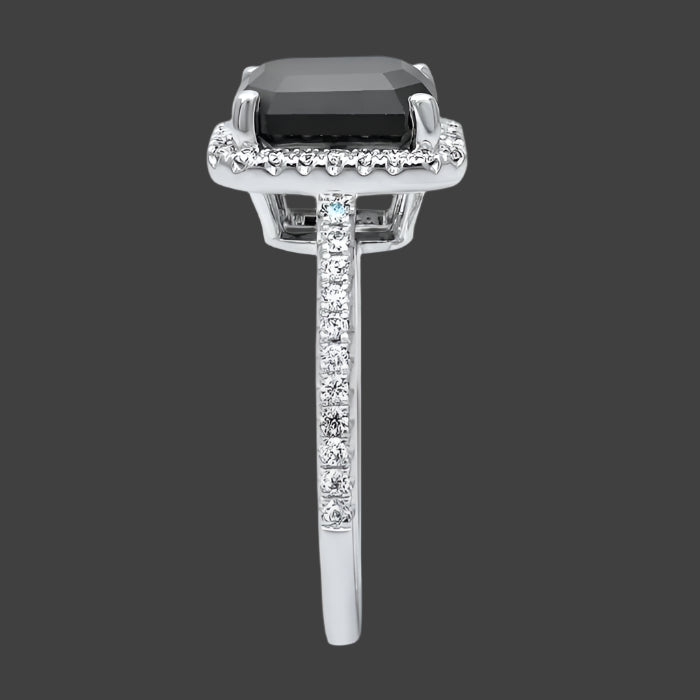 ClariOLED Transparent OLED Display price