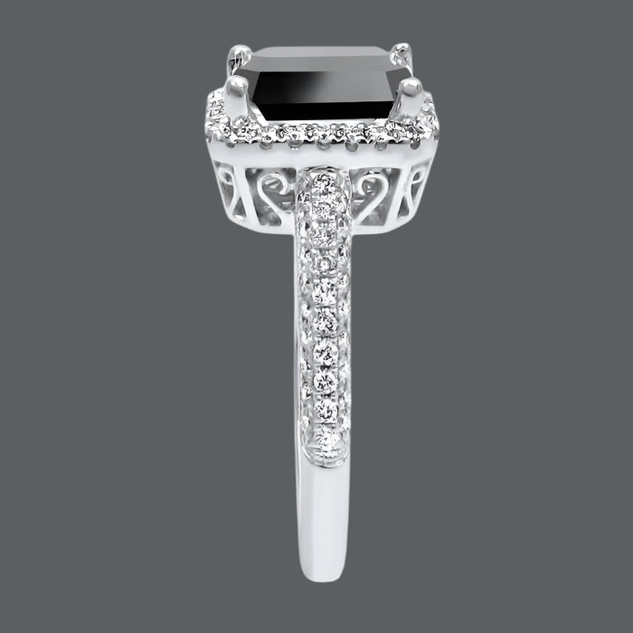 ClariOLED Transparent OLED Display price