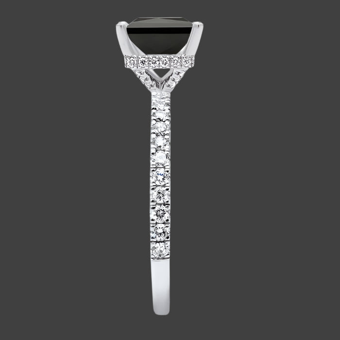 ClariOLED Transparent OLED Display price