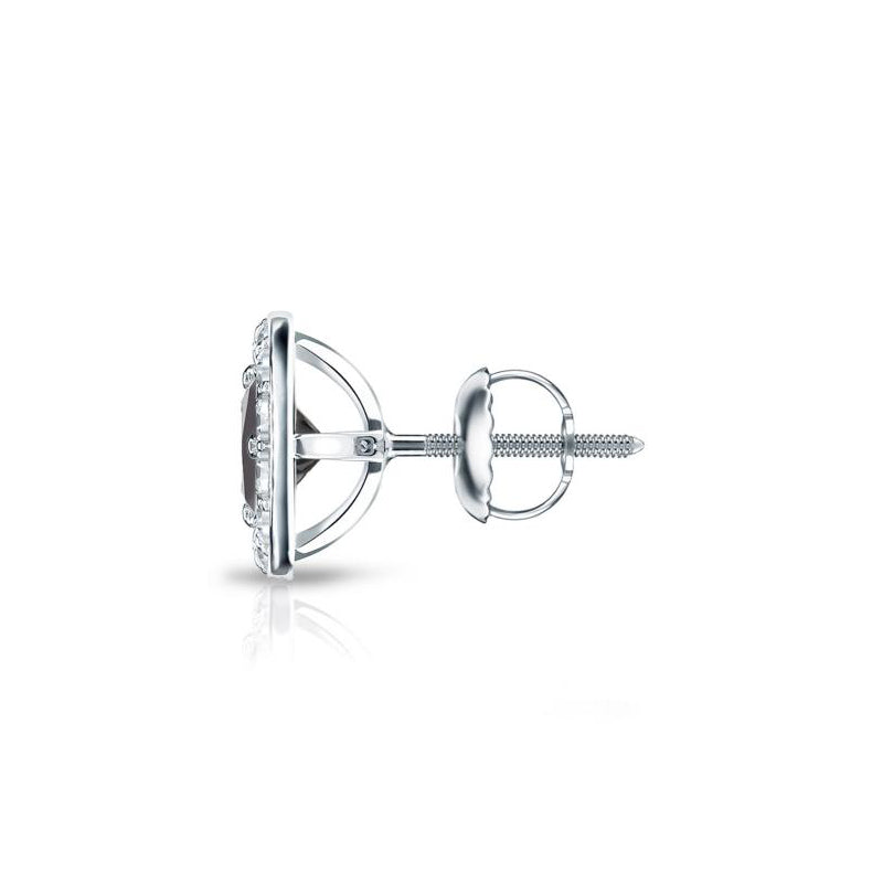 ClariOLED Transparent OLED Display price