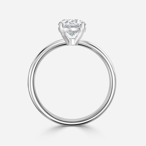 ClariOLED Transparent OLED Display price