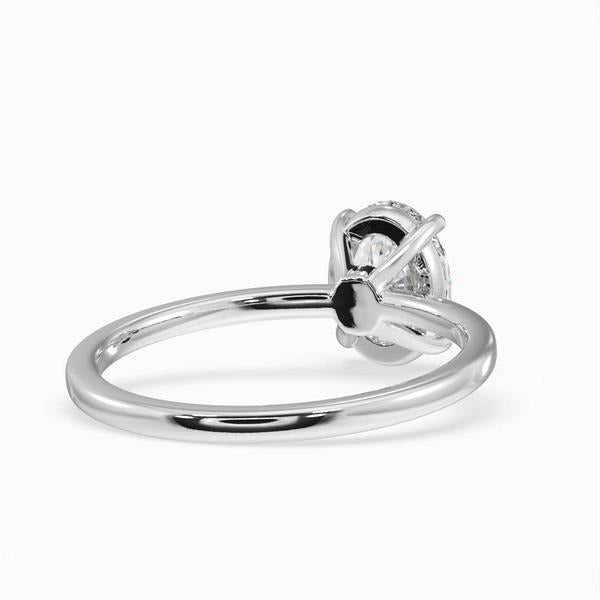 ClariOLED Transparent OLED Display price