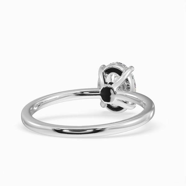 ClariOLED Transparent OLED Display price