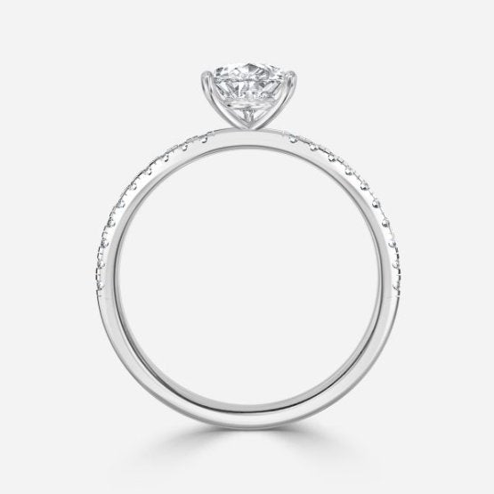 ClariOLED Transparent OLED Display price