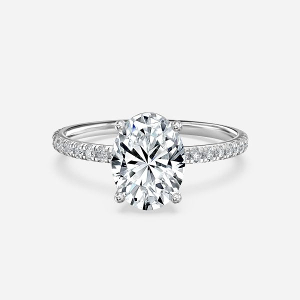 ClariOLED Transparent OLED Display price