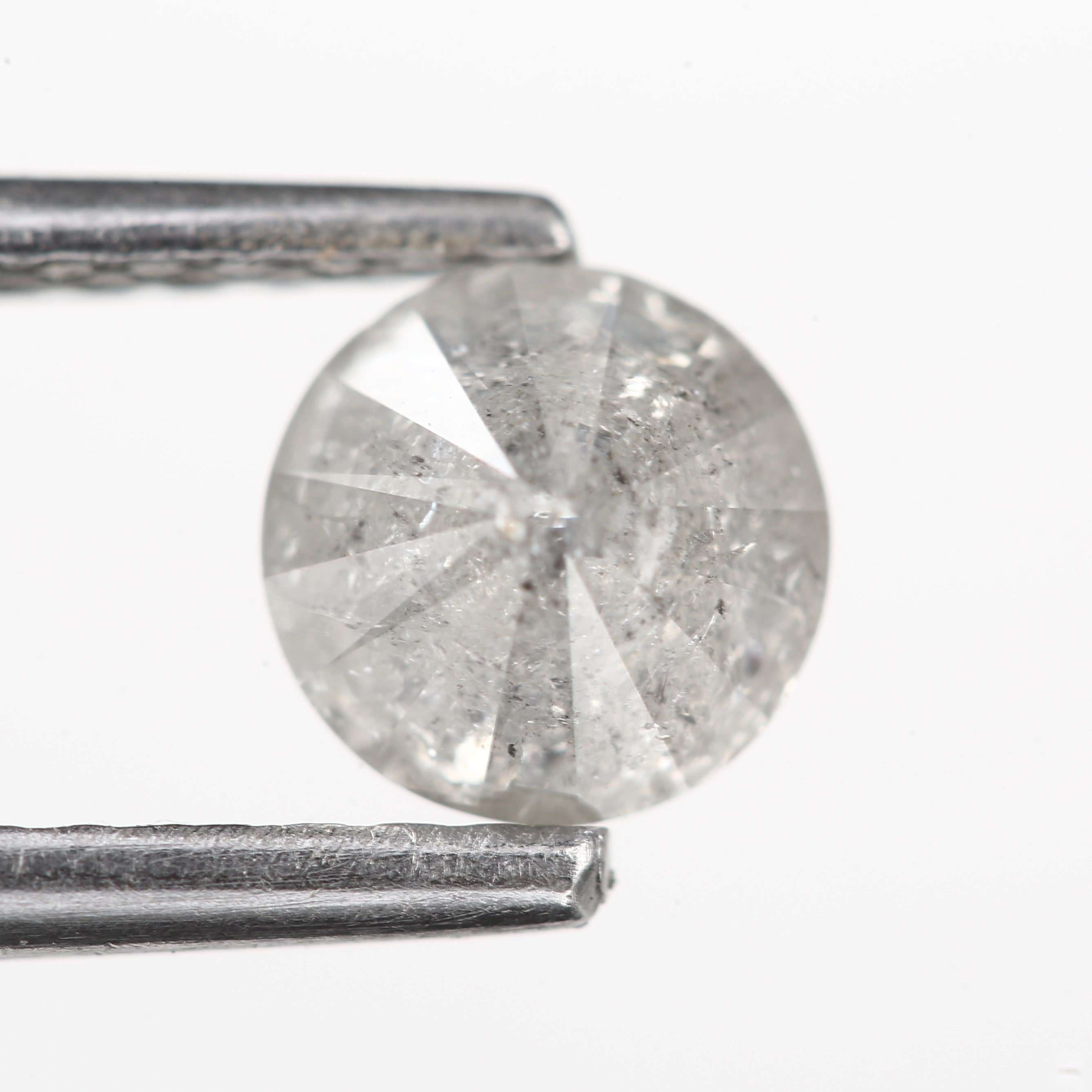 ClariOLED Transparent OLED Display price