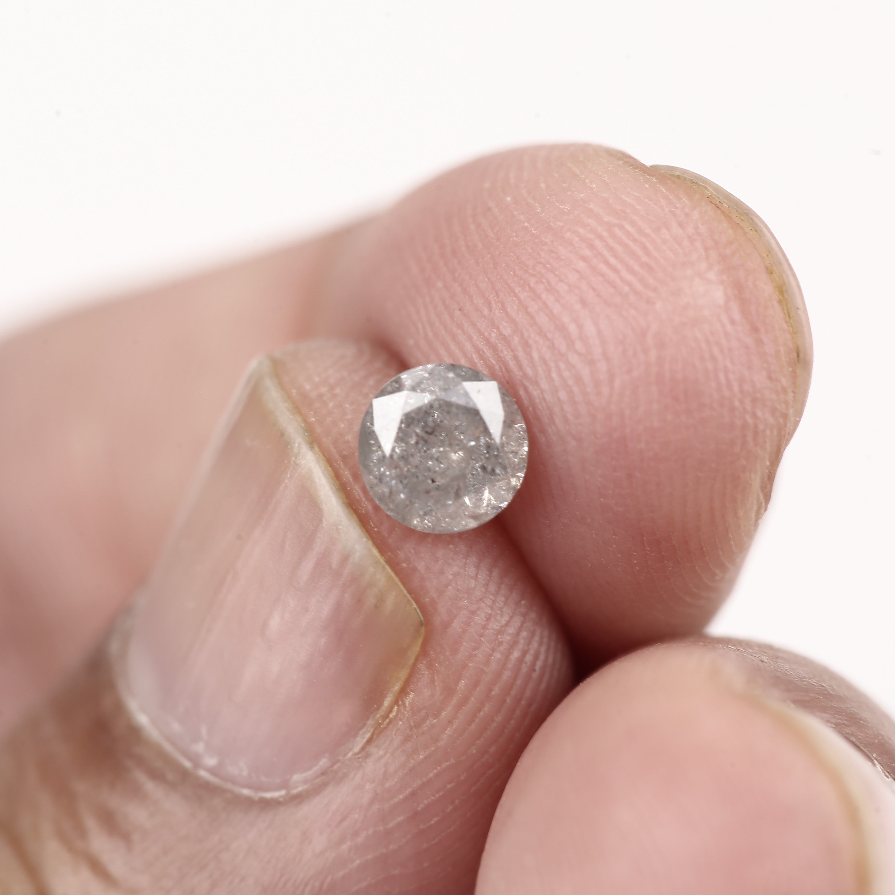 ClariOLED Transparent OLED Display price